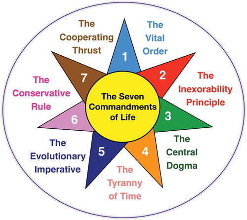 Figure 1. The seven commandments of life. The commandments are metaphorically represented as a sun with seven rays that help to better understand the vital phenomenon.