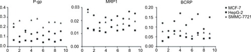 Figure 3 Transporter proteins expression in parental cell lines.Abbreviations: P-gp, permeability glycoprotein; MRP1, multidrug resistance-related protein 1; BCRP, breast cancer resistance proteins.