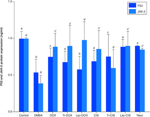 Figure 4. A comparative study between TiNPs-DOX, Lac-DOX, Cisplatin, TiNPs-CIS, Lac-CIS and Neupogen and their impact on P53 and JAK-2 protein expression post DMBA-induced leukemia.Data are expressed as mean ± S.E.M (n = 8). p ≤ 0.05 value is considered significant. Groups having the same letter are not significantly different from each other, while those having different letters are significantly different from each other.