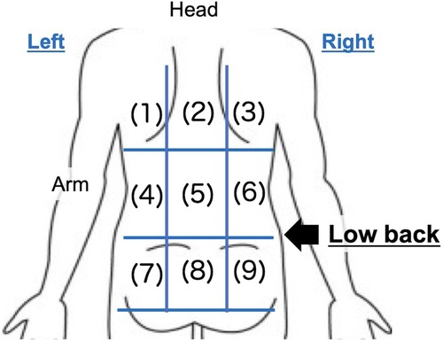 Figure 1. Questionnaire about low back pain site. The schematic figure was the view from the back.