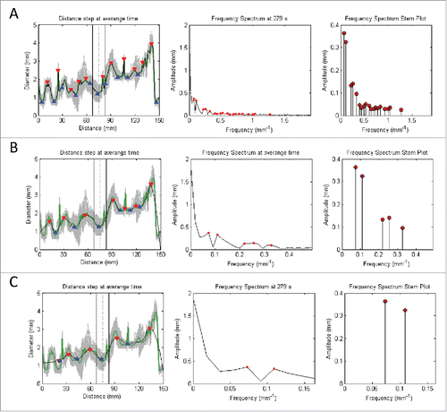 FIGURE 8. Signal processing of the time domain signals based on the following procedures: 1) Averaging of all signals in the Distance (mm) axis (represented by gray) into a single green signal (with its peaks and toughs highlighted by red and blue triangles respectively); 2) Perform moving average of the signal of interest to produce a smoothed signal that has its sharp peaks reduced; 3) Convert signal from time to frequency domain by applying Fast Fourier Transform (with dominant peaks highlighted by red dots); and 4) Deduce the dominant pairs of amplitude and frequency by identifying the dominating peaks of the frequency spectrum graph to give the stem plot (with the ends of every stem highlighted by a red dot). Note that A, B, and C denotes the increment of the inspection window in the moving average filter that leads to increased smoothing of the signal of interest. This corresponds to a reduction in the number of stems for the frequency spectrum stem plot.