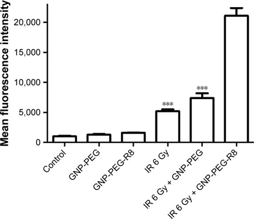 Figure 10 ROS levels in LS180 cells treated with GNP-PEG or GNP-PEG-R8 with or without 6 MV X-rays (6 Gy) as determined by flow cytometry. Data were quantified and the results are presented as the mean±SD. Compared with the IR 6 Gy + GNP-PEG-R8 group, ***p≤0.001.Abbreviations: ROS, reactive oxygen species; IR, irradiation; GNP, gold nanoparticle; PEG, poly(ethylene glycol); R8, octaarginine.