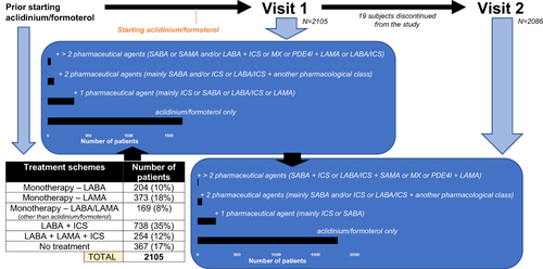 Figure 2 Summary of the different treatment pathways that were followed by the study participants, either before being prescribed with aclidinium/formoterol, at visit 1 and visit 2 of the study.