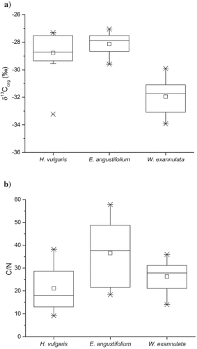 Figure 2. Composition of pooled tissue samples from dominant macrophyte species: (A) organic carbon isotope value (δ13Corg) and (B) carbon-to-nitrogen ratio (C/N). Box plots include mean (small square inside box), median (horizontal line inside box), interquartile range (25th and 75th percentiles as box ends), minimum and maximum (vertical lines), and range from 1st to 99th percentile (X)