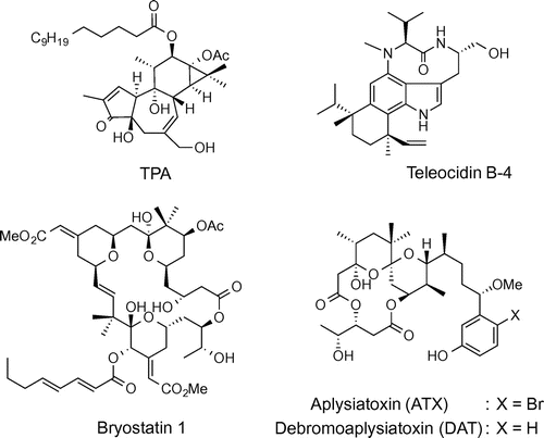 Fig. 1. Structures of protein kinase C (PKC) activators occurring in nature.