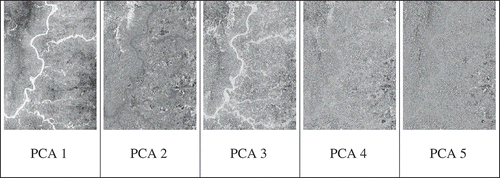 Figure 5. First five PCAs from LiDAR data.