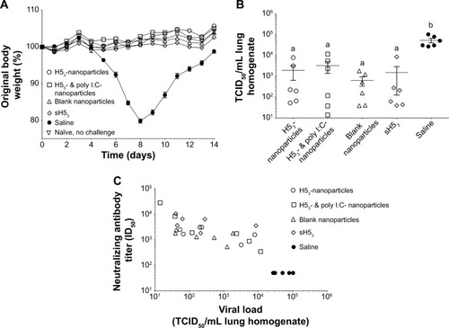 Figure 5 Mice were protected upon challenge with low pathogenic VNH5N1-PR8/CDC-RG.Notes: (A) Mice were challenged with a reverse genetics-derived influenza virus, VNH5N1-PR8/CDC-RG, containing the HA and NA genes of A/Vietnam/1203/04 (H5N1) virus in the genetic background of the high-growth master strain A/Puerto Rico/8/34 (H1N1). Body weight was observed for 2 weeks postinfection. All vaccinated mice maintained or gained weight similar to healthy naïve, no challenge mice. (B) Viral load in lung homogenates collected at 3 days post-challenge, (C) which correlated with the pre-challenge neutralizing antibody titers. Different letters indicate statistical significant among treatments.Abbreviations: H53, H5 hemagglutinin trimer; HA, hemagglutinin; ID50, sera dilution that inhibits 50% of pseudovirus infectivity; NA, neuraminidase; sH53, soluble H5 hemagglutinin trimer; TCID50, tissue culture infectious dose 50%.