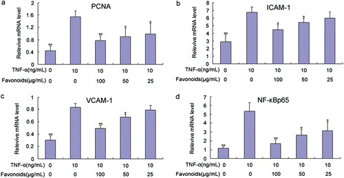 Figure 8. Effect of total flavonoids from Dracocephalum moldavica on TNF-α-induced PCNA (A), ICAM-1(B), VCAM-1(C), and NF-κB p65 (D) mRNA expression in rat VSMCs. Expression of mRNA was analyzed by quantitative real-time PCR. Values are represented as mean ± SEM (n = 3). Asterisk indicates a significant difference as compared to TNF-α alone group. *p < 0.05; **p < 0.01.