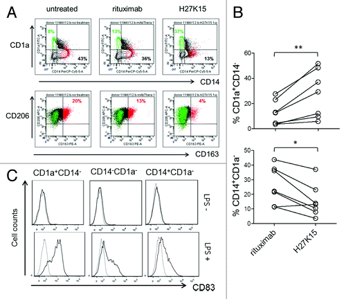 Figure 5. mAb H27K15 skews monocyte differentiation from macrophages toward DCs. (A) Dot plots represent CD1a and CD14 expression (upper panel) or CD206 and CD163 expression (lower panel) after 6 d of monocyte differentiation with GM-CSF and CSF-1 in the presence or absence of mAb H27K15 or control IgG1 rituximab. CD1a+CD14- cells (green) are CD163-CD206+, while the CD163-positive population (red) is CD14+CD1a-. Percentages of CD1a+CD14- and CD14+CD1a- cells are indicated in the corresponding quadrants and percentages of CD206+CD163+ cells are shown in red. (B) Increase in DCs (CD1a+CD14-, upper panel) and decrease in macrophages (CD14+CD1a-, lower panel) within the live cell population in monocyte from 7 different blood donors differentiated with GM-CSF and CSF-1 in presence of 1 µg/ml H27K15, compared with control rituximab. **p = 0.015 and *p = 0.03 using Wilcoxon’s paired test. (C) CD83 expression was analyzed by FC in monocytes cultured for 6 d with GM-CSF and CSF-1 in presence of mAb H27K15, without (upper panels) or after LPS stimulation (lower panels) for an additional 24 h. Histograms showing CD83 staining (black lines) compared with isotype control (gray lines) in the CD1a+CD14-, CD1a-CD14- and CD14+CD1a- populations. Results from one blood donor representative of 2 tested in independent experiments.