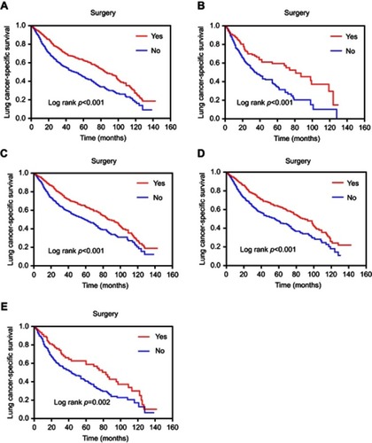 Figure 1 Survival curves based on Kaplan–Meier analysis comparing treatment with surgery versus non-surgery. (A) LCSS (p<0.001) in patients with early stage SCLC; (B) LCSS (p<0.001) in patients with age ≥75 years; (C) LCSS (p<0.001) in patients with age <75 years; (D) LCSS (p<0.001) in patients with tumor size T1 (sizes ≤3 cm); (E) LCSS (p=0.002) in patients with tumor size T2 (3 cm< sizes ≤5 cm).Abbreviations: LCSS, lung cancer-specific survival; SCLC, small-cell lung cancer.