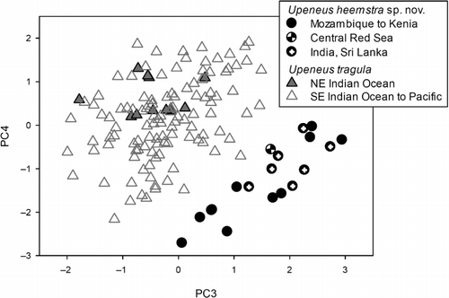 Figure 2. Third and fourth components derived from the PCA based on 37 morphometric characters from 143 specimens separated into two geographical groups corresponding to Upeneus heemstra sp. nov. (n = 19) and U. tragula (n = 124), with additional subdivision into populations.