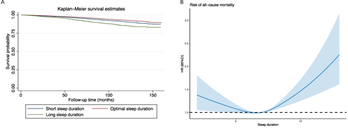 Figure 3 (A) Survival curves for all-cause mortality by weighted Kaplan–Meier method; (B) Restricted cubic spline model of the hazard ratios of sleep duration and risk of all-cause mortality. Adjustment for sex, age, race, education, health insurance, BMI, smoking status, alcohol use, work intensity sedentary behavior, physical activity, marital status, depression, PIR, stroke, diabetes, hypertension, and CVD.