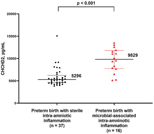 Figure 4. Concentration of CHCHD2/MNRR1 (pg/mL) in the amniotic fluid of pregnant women in preterm labor with intra-amniotic inflammation classified by the presence or absence of microbial invasion of the amniotic cavity. Data are reported as medians and interquartile ranges. The analysis was performed after log2 transformation of the data.
