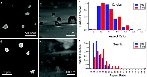 FIG. 1. (a) A representative scanning electron microscopy (SEM) image of the calcite particles in the top-down orientation. (b) A representative SEM image of the calcite particles in the side-on orientation, imaged at an angle of 5˚ from normal. (c) The distribution of calcite aspect ratios obtained from SEM images. The fraction of particles by number is plotted vs. aspect ratio. (d) SEM images of quartz particles in the top-down orientation and the (e) side-on orientation. (f) The distribution of quartz aspect ratios obtained from the SEM images. The tick marks label the bin to the left of the number, making the aspect ratio of the first bin 1.0.