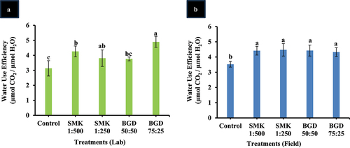 Figure 2. Water use efficiency after SMK and BGD treatment. (a) lab conditions and (b) field conditions. The data are expressed as mean ± standard deviation of three replicates. The bars labeled with different alphabets are statistically significantly different at p < 0.005.