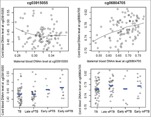 Figure 3. The maternal-cord blood DNA methylation correlation at cg03915055 and cg06804705, and cord blood DNA methylation difference at these two sites between term and PTB neonates. TB: term birth; sPTB: spontaneous PTB; mPTB: medically-induced PTB.