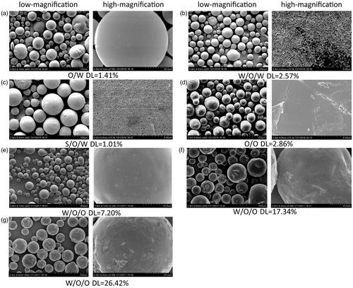 Figure 1. Low-magnification and high-magnification cold-cathode field-emission scanning electron microscope (FE-SEM) microphotographs of RM-microspheres prepared by (a) O/W single emulsion-solvent evaporation method, (b) W/O/W double emulsion-solvent evaporation method, (c) S/O/W double emulsion–solvent evaporation method, (d) O/O traditional phase separation method and W/O/O emulsion–phase separation method with the drug loading of (e) 7.20%, (f) 17.34% and (g) 26.42%, respectively.