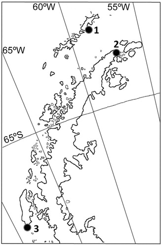 Fig. 1 Localities sampled: (1) Stranger Point, Isla 25 de Mayo/King George Island, (2) Bahía Esperanza/Hope Bay, (3) Avian Island.