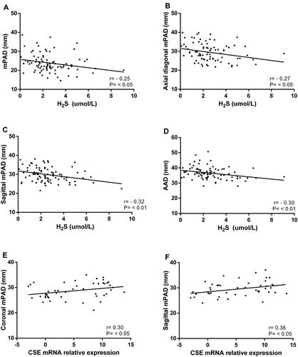 Figure 1 Correlation and scatter plot of hydrogen sulfide (H2S), synthase cystathionine-γ-lyase (CSE) mRNA and pulmonary vascular indexes on HRCT. (A) H2S was negatively correlated with main pulmonary artery diameter (mPAD) (r = - 0.25, P < 0.05); (B) H2S was negatively correlated with axial diagonal mPAD (r = - 0.27, P < 0.05); (C) H2S was negatively correlated with sagittal mPAD (r = - 0.32, P < 0.01); (D) H2S was negatively correlated with ascending aortic diameter (AAD) (r = - 0.30, P < 0.01); (E) Relative expression of CSE mRNA was positively correlated with coronal mPAD (r = 0.30, P < 0.05); (F) Relative expression of CSE mRNA was positively correlated with sagittal mPAD (r = 0.36, P < 0.05).