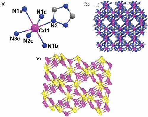 Figure 1. (a) The coordination environments of Cd(II) ion. (b) The 3D framework of 1. (c) Schematic representation of (3,6)-connected flu topological network for 1.