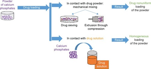 Figure 5 Processes exploiting the use of calcium phosphates involve mechanical mixing or contact between the powder and contact between the powder and drug solution, which leads to a homogeneous drug loading different from the mechanical mixing.