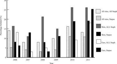 Figure 2. Percentage prevalence of methicillin resistance of all staphylococci and S. pseudintermedius cultured from all sites, ears, and skin between 2006 and 2011. Key: Staphylococci (Staph), S. pseudintermedius (Stapse).