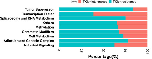 Figure 3 Mutation rates of genes with different functions. According to the function of genes, they were divided into chromatin modification (86.57%, 58/67), activated signaling (58.70%, 40/67), transcription factor (47.76%, 32/67), methylation (44.78%, 30/67), other (34.33%, 23/67), adhesion and cohesion complex (26.87%, 18/67), cell metabolism (16.42%, 11/67), tumor suppressor (8.96%, 6/67), spliceosome and RNA metabolism (5.97%, 4/67). It can be seen that the mutations rate in transcription factor is higher in patients intolerant to TKIs (82.60% vs 27.27%, P=0.016).