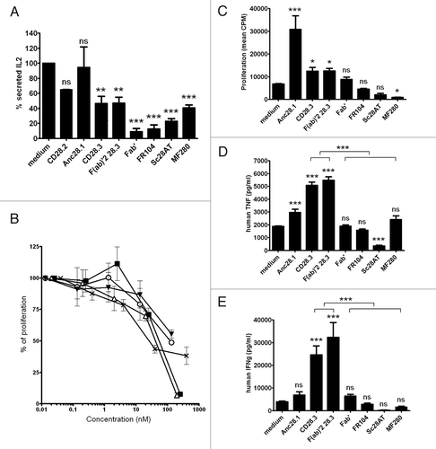 Figure 5. Agonist or antagonist properties of anti- CD28 antibodies. (A) IL-2 secretion by Jurkat T cells stimulated for 2 d with SEE superantigens presented by Raji B cells, after addition of 10 µg/ml of the indicated mAb. (B) Mixed-lymphocyte reactions measured after 5 d with human PBMC and addition of MF280 (■), FR104 (x), F(ab)’2 (Δ), IgG CD28.3 (o) and IgG CD28.2 (▼) at different concentrations. (C) Proliferation of human PBMC maintained for 3 d in culture wells coated with anti-CD3 antibodies, and in the presence of 10 µg/ml of indicated mAbs in the liquid phase. (D and E) TNFα and (E) IFNγ cytokines were measured after 24h in the supernatant of PBMC stimulated as in condition C. Data were mean ± SEM of three experiments. *p < 0.05, **p < 0.01, ***p < 0.001. ns, not significant.