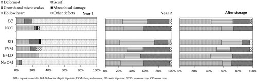 Figure 4. Sorted out tubers (%) in treatments with the addition of different organic materials (OM) and the control (No OM), and across treatments with (CC) and without cover crop (NCC) by harvest in year 1, year 2, and after 4 months of storage in year 2.