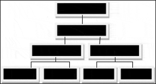 Figure 9. A hypothetical organizational chart