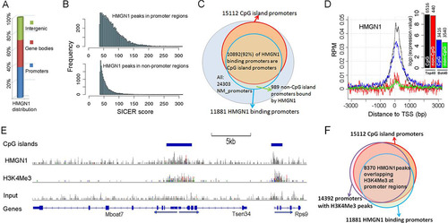 Fig 4 Genome-wide distributions of HMGN1 in neural progenitor cells. (A) Global distribution of HMGN1 throughout the genome. (B) Enhanced HMGN1-binding strength at promoters. (C) HMGN1 binds to promoters containing CpG islands. Note that 92% of the HMGN1-binding promoters are CpG island promoters and that 70% of the CpG island promoters bind HMGN1, regardless of expression levels. (D) Average HMGN1 signals near the transcription start site (TSS) of different groups of genes. Black line, Top40 genes with CpG island promoters; red line, Top40 genes with non-CpG island promoters; blue line, Bot40 genes with CpG island promoters; green line, Bot40 genes with non-CpG island promoters. RPM, reads per million. The inset indicates average expression values (in log2) in the four groups of genes. (E) An example of colocalization of HMGN1, CpG island promoters, and H3K4Me3 histone mark. (F) Overlapping of HMGN1-binding promoter and H3K4Me3-positive promoters.