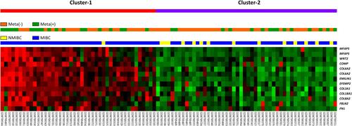 Figure 1 A published transcriptome dataset of urothelial carcinoma (GSE31684) from GEO database showed gene expression associated with extracellular matrix structure constituent (GO:0005201). COMP is the most upregulated gene.