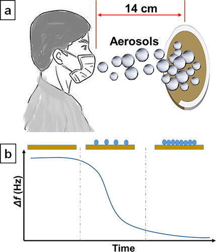 Figure 3. (a) Mask test setup with QCM; (b) frequency shift representation graph obtained by mass adsorption to the QCM sensor surface.