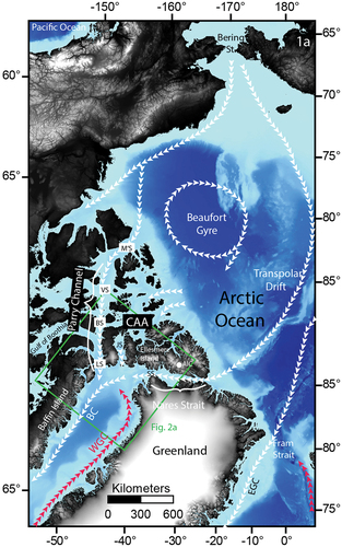 Figure 1. Map showing study area location and the channels through the CAA and Nares Strait connecting the Arctic Ocean to northern Baffin Bay and the general ocean circulation with Polar water/Arctic surface water depicted by white arrows and Atlantic water currents shown as red arrows. M’S = M’Clure Strait; VS = Viscount Melville Sound; BS = Barrow Strait; LS = Lancaster Sound; JS = Jones Sound; SS = Smith Sound; BC = Baffin Current; WGC = West Greenland Current, AIC = Agassiz Ice Core. (b) Green box shows area of Figure 2a. Bathymetry data from the International Bathymetric Chart of the Arctic Ocean (Jakobsson et al. Citation2012).