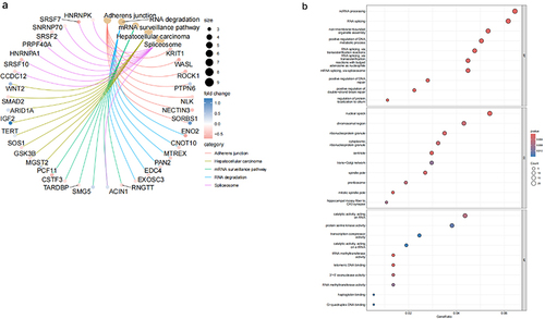 Figure 3 Enrichment analysis of DEGs in OA.