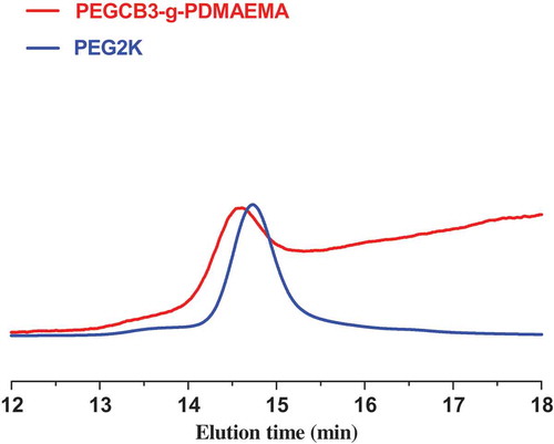 Figure 4. SEC traces of graft copolymer PEGCBD3-g-PDMAEMA and PEG2K.