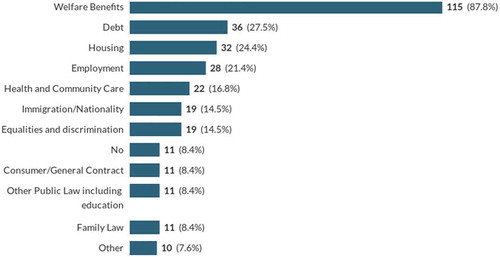 Figure 2. Social welfare law advice provided (n = 133)