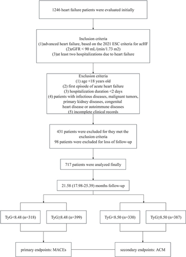 Figure 1 The flow chart of participants inclusion.