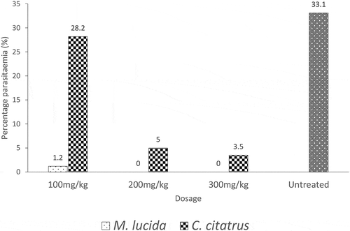 Figure 1.: Effect of M. lucida and C. citratus extracts on placenta parasitemia