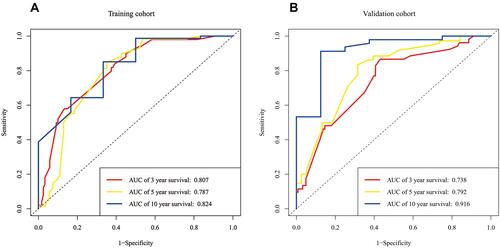 Figure 2 AUC values of ROC predicted overall survival rates of Nomogram in the training cohort (A) and the validation cohort (B).