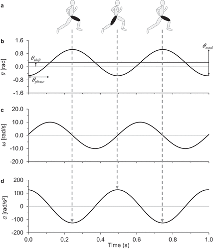 Figure 1. Thigh angular motion during sprinting. (a) Simplified representation of thigh angular motion for an upright runner. (b) Thigh angular position vs. time, θ(t). The total thigh range of motion from peak flexion to peak extension is θtotal, the phase angle is θphase, and the offset angle is θshift. (c) Thigh angular velocity vs. time, ω(t). (d) Thigh angular acceleration vs. time, α(t). Figure reproduced/adapted with permission from Clark et al. (Citation2020).