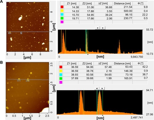 Figure 8 Atomic force microscopy images of graphene oxide (A) and Ginkgo biloba extract-reduced graphene oxide (B).