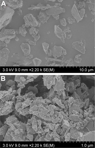 Figure 7 Scanning electron microscopy images of (A) unmilled ACF (B) ACF nanocrystals.Abbreviation: ACF, aceclofenac.