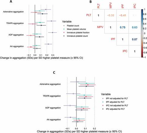 Figure 4. Association between platelet measures and aggregation in the COPTIC trial. A) Forest plot displaying the association between platelet measures (exposure) and aggregation (outcomes). B) Correlation matrix displaying the Pearson’s correlation coefficient (r) between platelet traits. C) Forest plot displaying the effect estimate for the association between immature platelet count (IPC) or immature platelet fraction (IPF) and measures of aggregation, with or without adjustment for platelet count (PLT). ADP = adenosine diphosphate, AA = arachidonic acid, MPV = mean platelet volume.