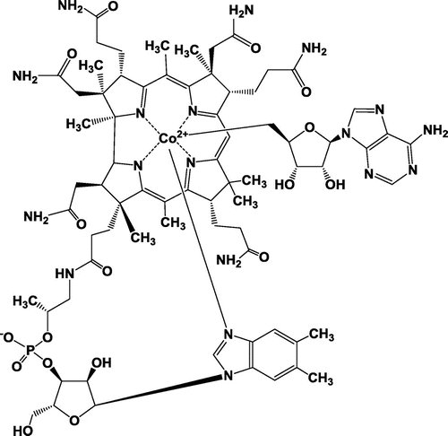 Fig. 2. Chemical structure of Adenosyl B12 (AdoB12).