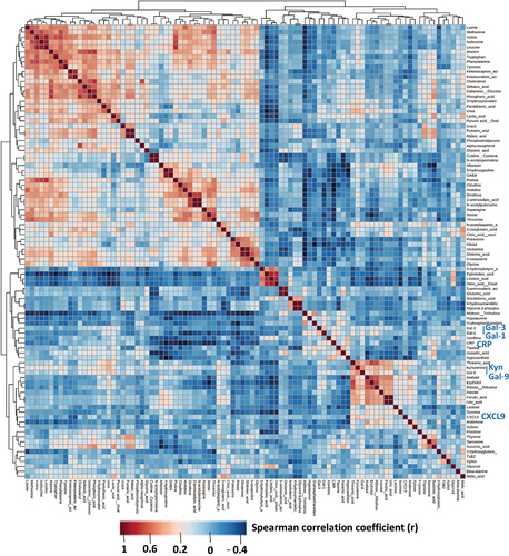 Figure 3. Overview and correlation mapping of the distribution of 87 metabolites detected by GC-MS and five selected proteins (gal-1, −3 and −9, CRP, CXCL9) in plasma samples from HNSCC patients. The correlation matrix was generated using the “correlation” function of the MetaboAnalyst software (https://www.metaboanalyst.ca). Data related to metabolites and proteins were analyzed simultaneously using the same software although they were obtained using distinct assays, GC/MS and ELISA respectively. The color scale is a function of Spearman coefficients of correlation. Areas of red colors signal biomolecules occurring with concomitant high abundance in substantial numbers of plasma samples. Five prominent clusters designated a, b, c, d, e were delimited on the basis of color contrasts and to a lesser extent dendrogram arborescence. Clusters a and b mainly consisted of free proteinogenic amino-acids including branched (valine, leucine, isoleucine) and aromatic (tryptophan, phenylalanine, tyrosine) amino-acids, proline, asparagine, serine and threonine as well as two non-proteinogenic amino-acids (citrulline and ornithine). Cluster c was heterogeneous including a polyamine, putrescine, glutamine and shikimic acid, a metabolite derived from plants and microorganisms. Cluster d consisted of 3 fatty acids (oleic, linoleic, palmitoleic acids) and the related 3-hydroxybutyric acid. Like cluster c, cluster e was heterogenous containing gal-9, kynurenine (Kyn), uric acid and 4 putative plant-derived metabolites (threonic and ferulic acids, arbitol and erythritol). While gal-9 was clearly linked to cluster e, just adjacent to Kyn, gal-1, gal-3, CRP and CXCL9 were not associated to well delimited clusters.
