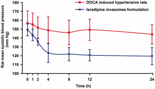 Figure 4. Showing blood pressure lowering effect of applied isradipine-loaded invasomal transgel in DOCA induced hypertensive rats.