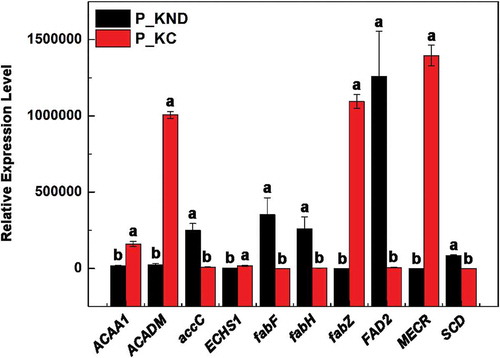 Figure 3. Quantification of the expression levels of lipid metabolism related genes in Parachlorella kessleri TY under P_KND and P_KC by RT-qPCR analysis. Data are shown as mean ± SD, n = 3, with superscript letters indicating significance (p < 0.05)