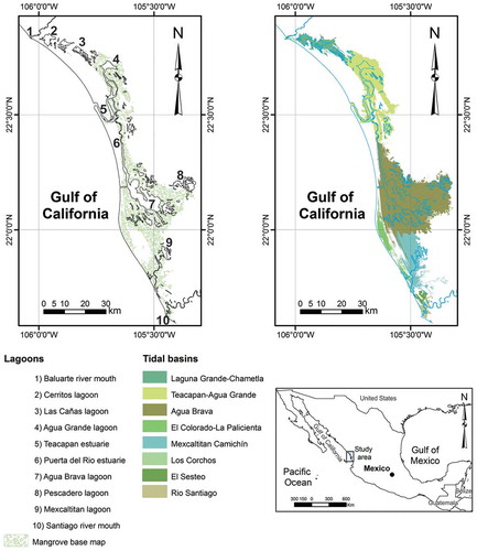 Figure 1. Study area. teacapan-agua brava lagoon system, northwest mexico. the left map shows the main lagoons and estuaries and the mangrove surface used as baseline for the seasonal trend analysis (sta). in the right map, tidal basin limits based on Blanco et al. (Citation2011).