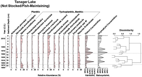 Figure 4. Diatom biostratigraphy of Tanager Lake, Yellowstone National Park, WY, since 1850. The dotted lines designate zones of significant change in the diatom assemblage as identified by cluster analysis, shown in the dendrogram. Diatom and chrysophyte concentration provide proxies of primary productivity. Tanager Lake naturally has fish and was never stocked.
